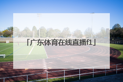 「广东体育在线直播f1」广东体育在线直播全运会