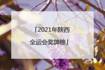「2021年陕西全运会奖牌榜」2021年陕西全运会奖牌榜排名